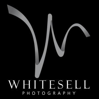 Whitesell Photography St. Albert (780)628-0628